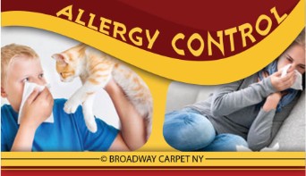 Allergy Control - Manhattan 10165
