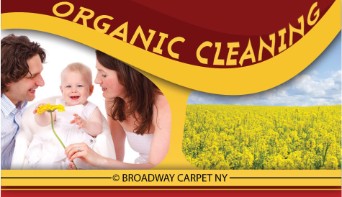 Organic Cleaning - Manhattan 10008