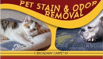 pet stain & odor removal - Inwood 10034