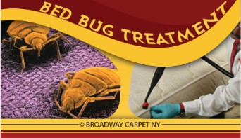 Bed Bug Treatment - East view 10128