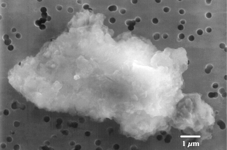 dust particle from carpet