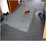 Carpet cleaning Free Estimate